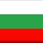 bg flag
